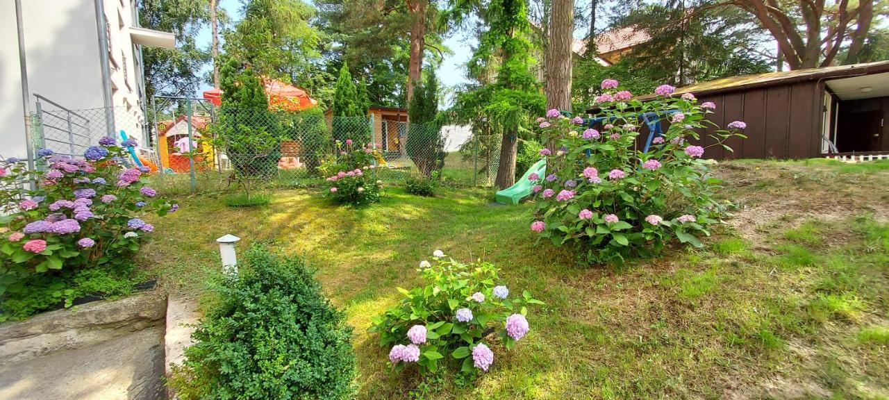 Villa Azalia Jastrzębia Góra Kültér fotó